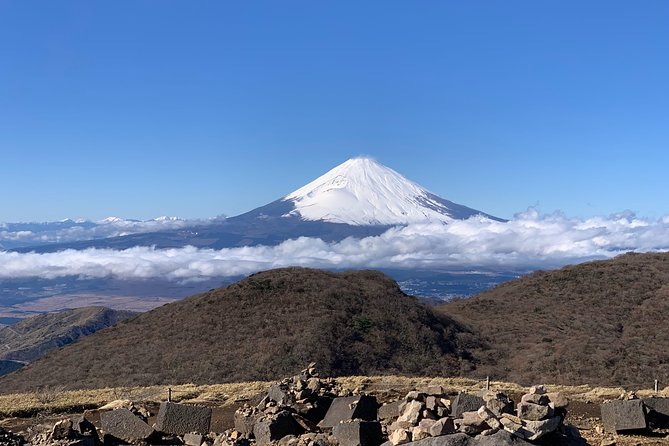 Hakone Private Two Day Tour From Tokyo With Overnight Stay in Ryokan - Accommodation Options