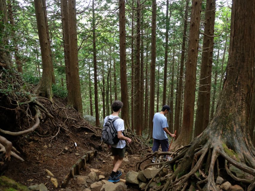 Hakone: Traverse the Hakone Caldera and Enjoy Onsen - Scenic Views and Highlights