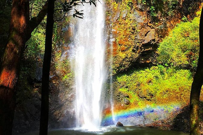 Half-Day Kayak and Waterfall Hike Tour in Kauai With Lunch - Additional Information
