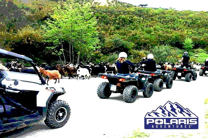 Half-Day Rethymno Quad Safari - Accessibility and Physical Fitness Level