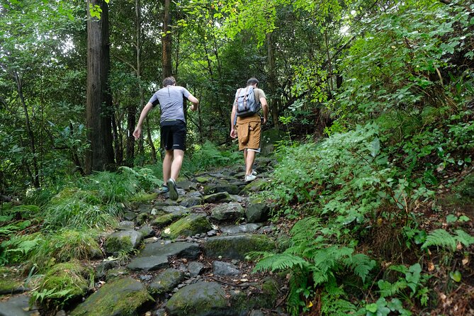 Hike Japan Heritage Hakone Hachiri With Certified Mountain Guide - Cancellation Policy and Refunds