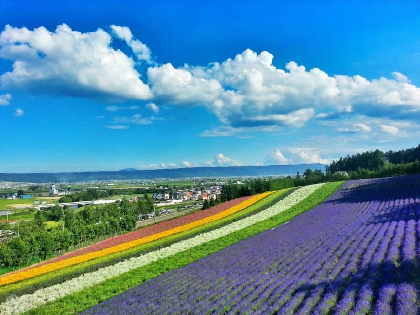 Hokkaido: Biei Blue Pond and Furano Flower Farm Day Trip - Shikisai-no-Oka Tractor Bus