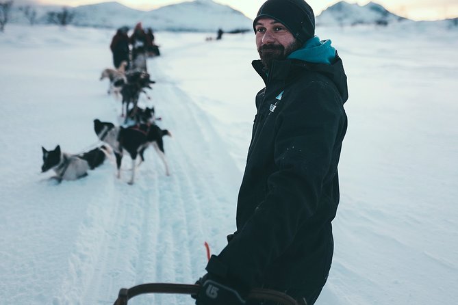 Husky Sledding Self-Drive Adventure in Tromso - Treat Yourself to Chocolate Cake