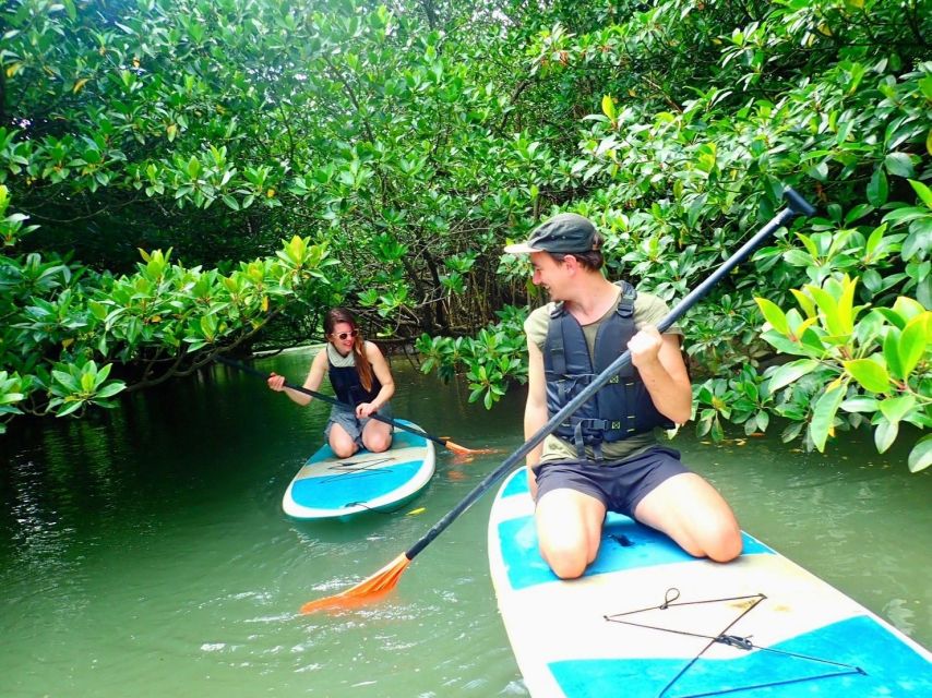 Ishigaki Island: SUP/Kayaking and Snorkeling at Blue Cave - Eco-friendly and Sustainable Tour