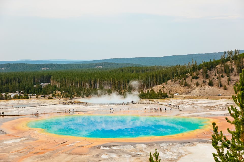 Jackson: 2-Day Yellowstone National Park Tour With Lunches - Booking Details and Recommendations