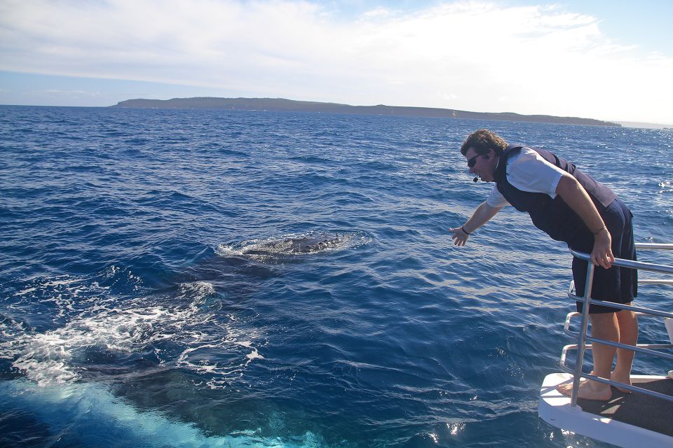 Jervis Bay: 2-Hour Whale Watching Cruise - Customer Reviews