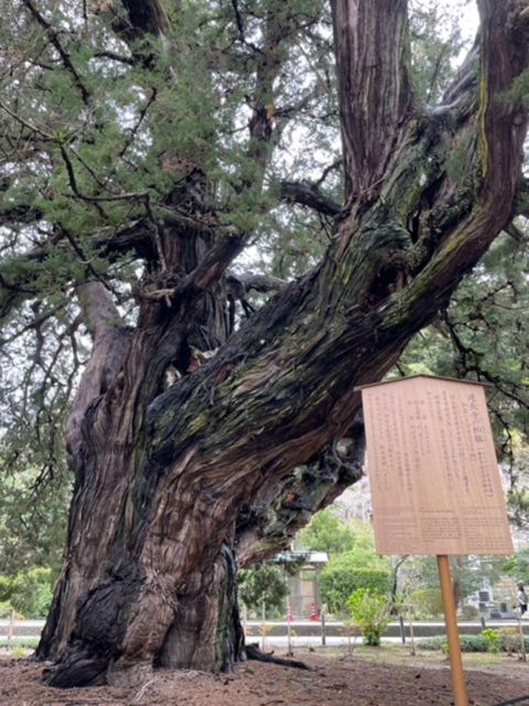 Kamakura; First Samurai Capital Walking Tour - Kencho-ji Temple