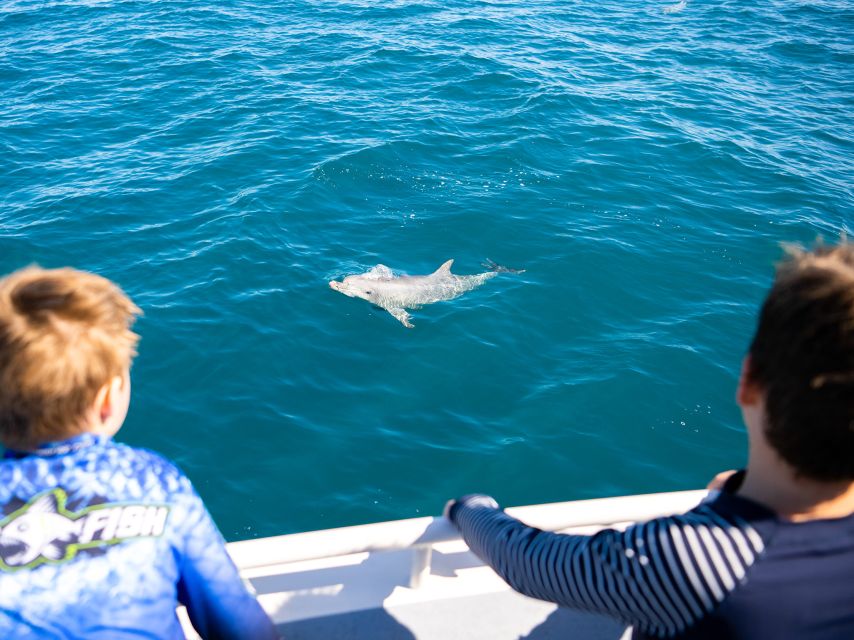 Kangaroo Island: Dolphin, Seal, and Swimming Boat Tour - Booking Information