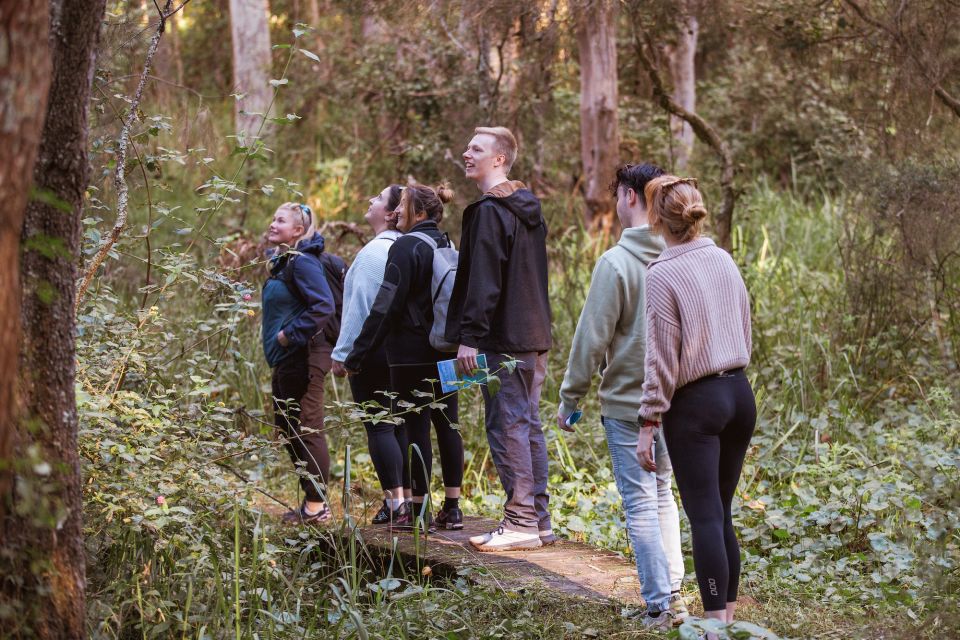 Lake Macquarie: Cruise and Guided Nature Walk With Lunch - Experience Details