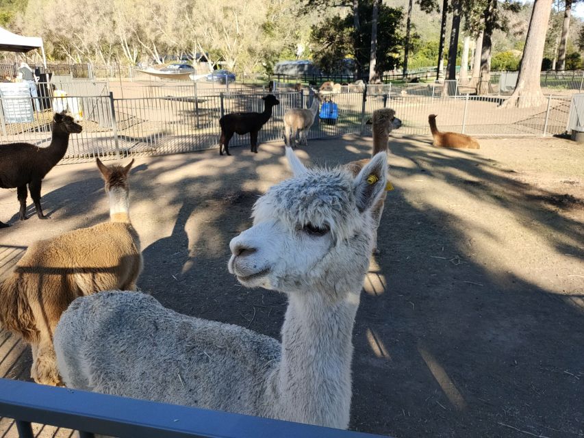 Lamington National Park, OReillys and Vineyard Tour - Customer Reviews