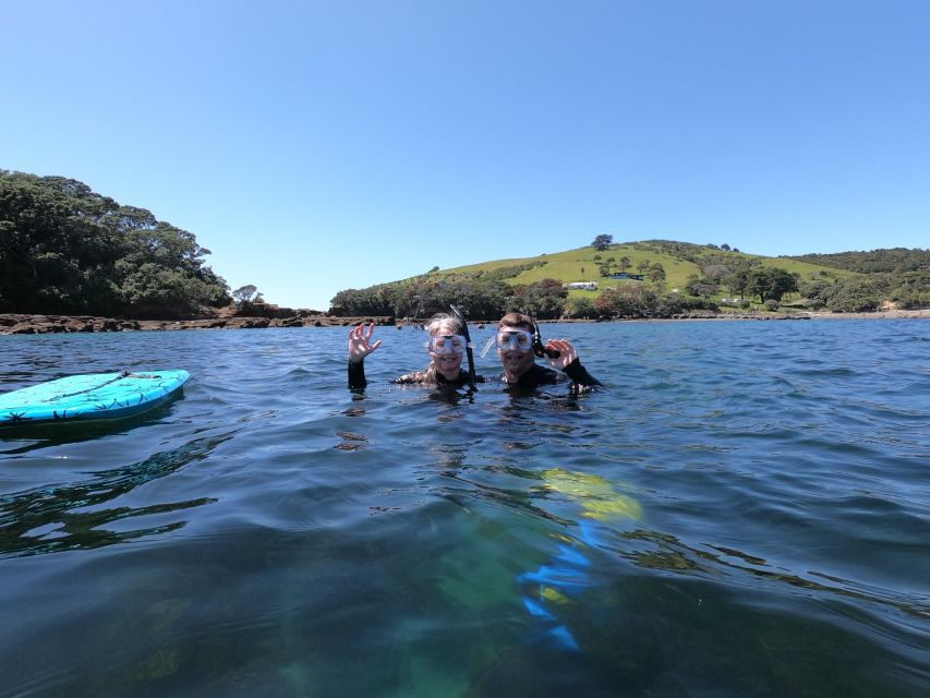 Leigh: Goat Island Guided Snorkeling Tour for Beginners - Price and Inclusions
