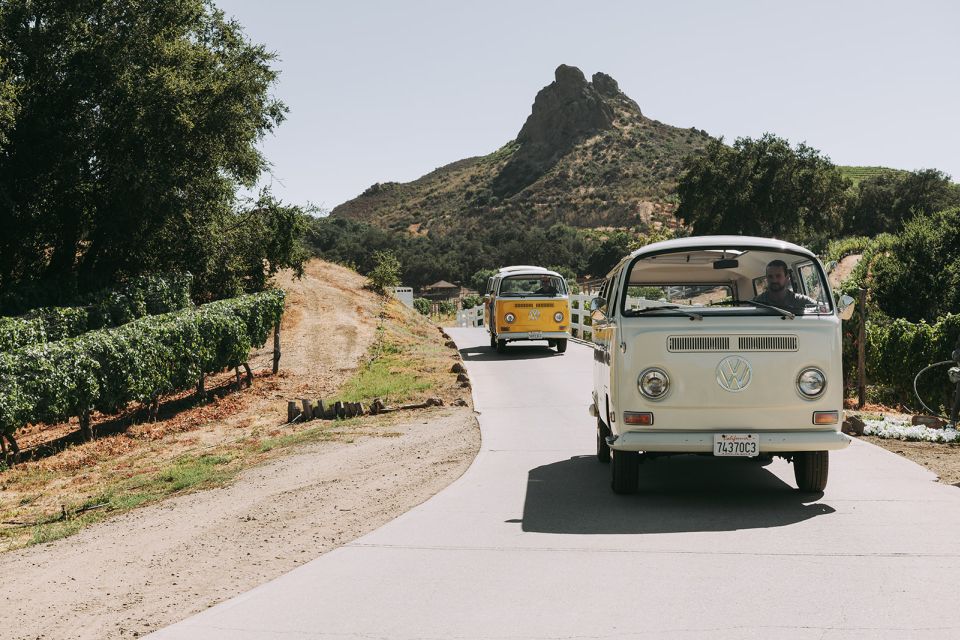 Los Angeles: Private Vintage VW Bus Tour in Malibu - Reviews