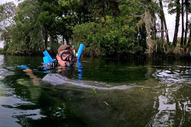 Manatee Adventure, Airboat, Lunch, Wildlife Park With Transport - Visitor Reviews and Recommendations