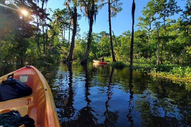 Manchac Swamp Kayak Small-Group Tour - Reservation and Payment Options
