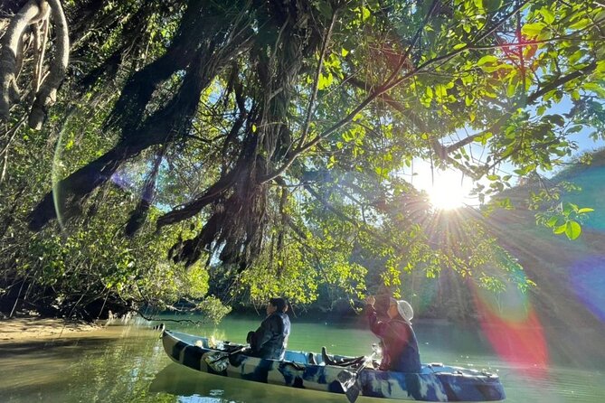 Mangrove Kayaking to Enjoy Nature in Okinawa - Preparing for the Adventure