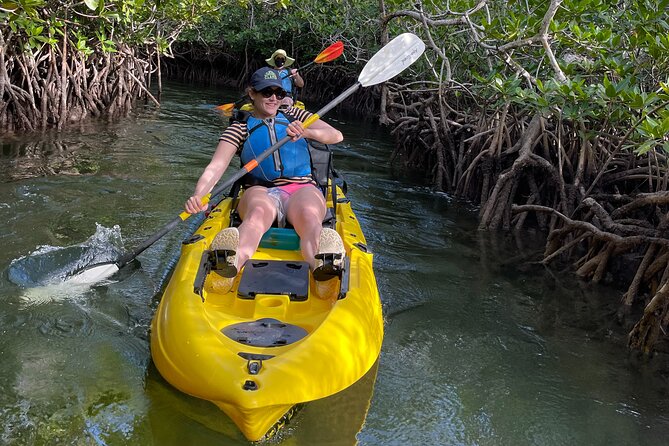 Mangrove Tunnel Kayak Adventure in Key Largo - Customer Reviews