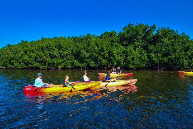 Mangroves, Manatees, and a Hidden Beach: Kayak Tour - Traveler Information