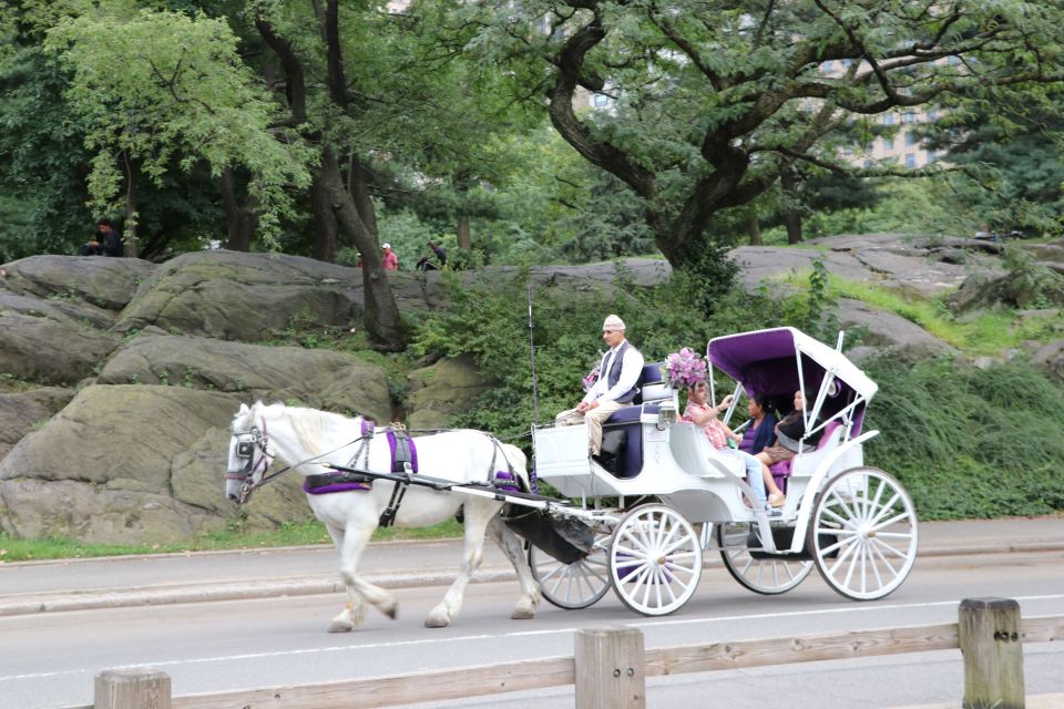 Manhattan: VIP Private Horse Carriage Ride in Central Park - Meeting Point