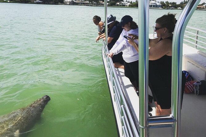 Marco Island Dolphin Sightseeing Tour - Tour Highlights