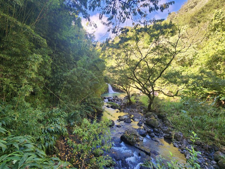 Maui: Private All-Inclusive Road to Hana Tour With Pickup - Visiting Hidden Gems and Lesser-Known Destinations
