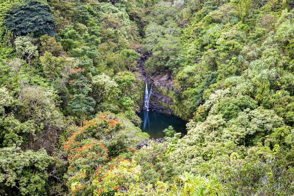 Maui: Small-Group Road to Hāna Sightseeing Tour - Dining Experience