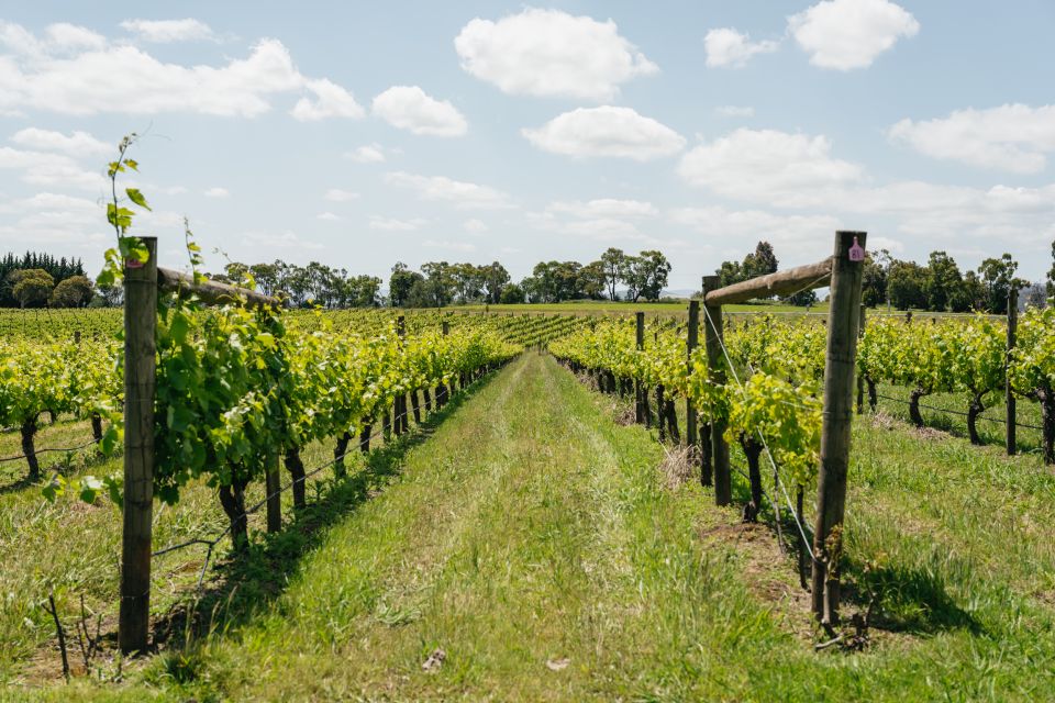 Melbourne: Full-Day Yarra Valley Wine Experience With Lunch - Lunch Experience