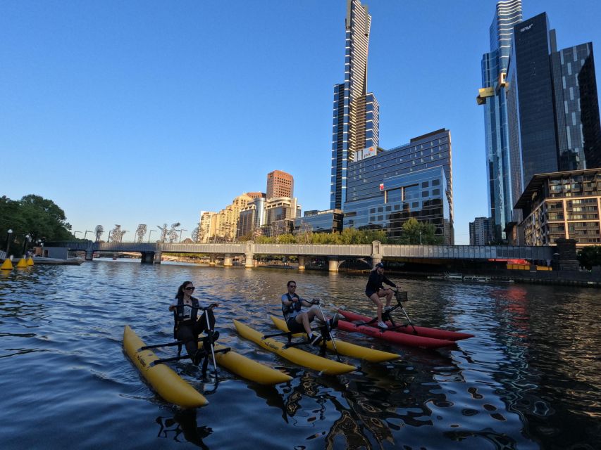 Melbourne: Yarra River Twilight Waterbike Tour - Recap