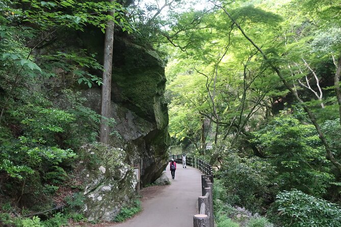 Minoh Waterfall and Nature Walk Through the Minoh Park - Included Transportation and Lunch