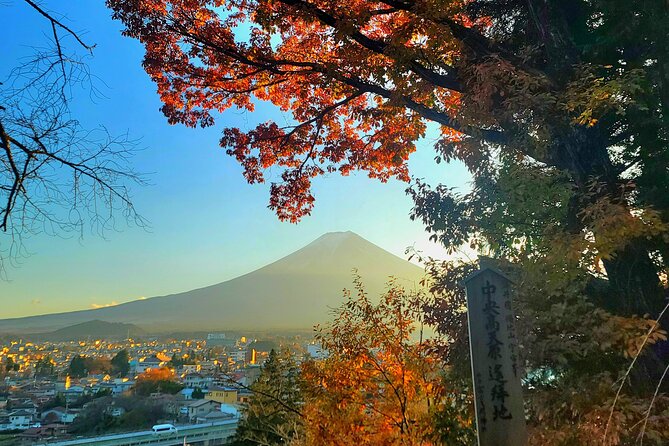 Mount Fuji and Hakone Full Day Private Sightseeing Tour - Additional Considerations