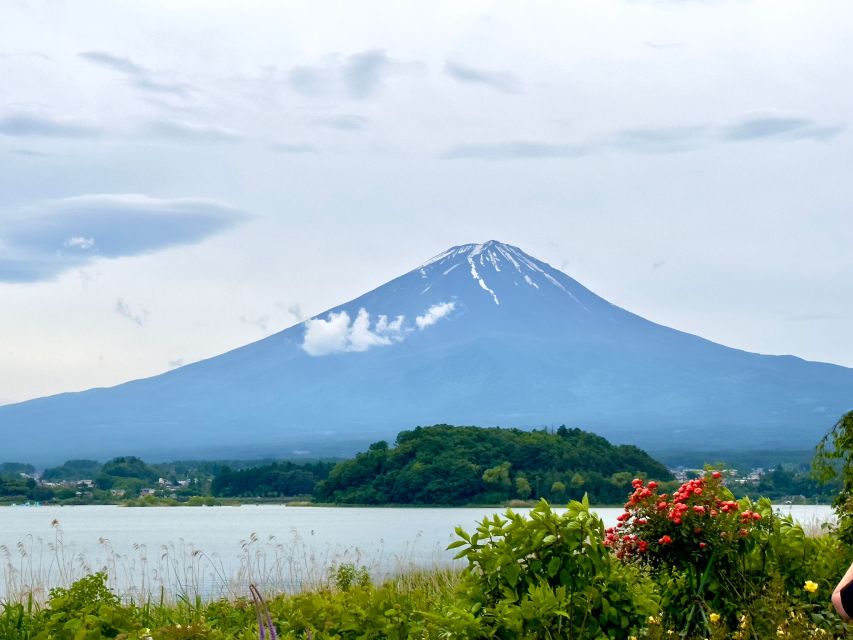 Mount Fuji Hakone With English-Speaking Guide - Flexible Itinerary