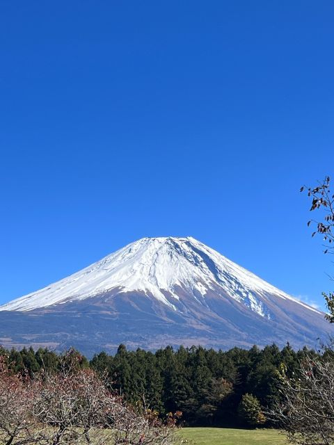 Mt. Fuji: 2-Day Climbing Tour - Considerations for Prospective Participants