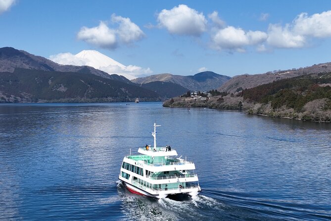 Mt. Fuji & Hakone Bullet Train 1 Day Tour From Tokyo Station Area - Inclusions