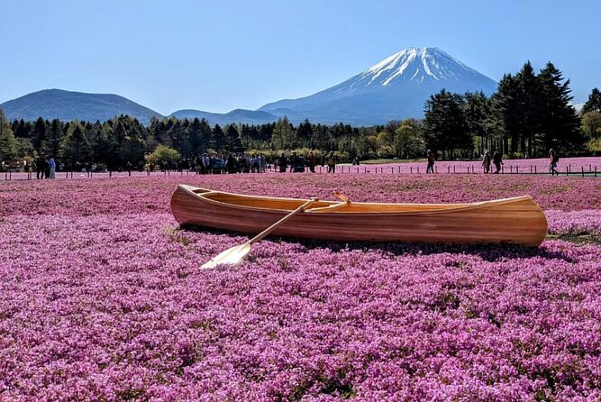 Mt Fuji, Hakone Private Tour by Car With Pickup - Duration and Accessibility