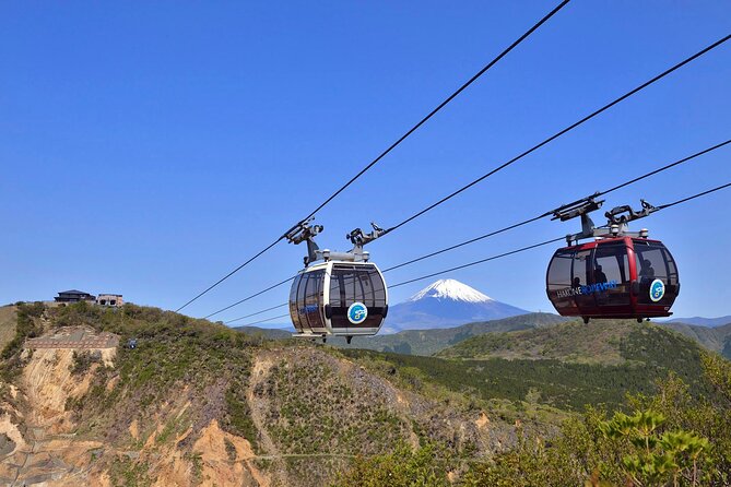 Mt. Fuji & Hakone Tour Tokyo Hotel Pick-Up & Drop-Off by Grayline - Pickup and Drop-off