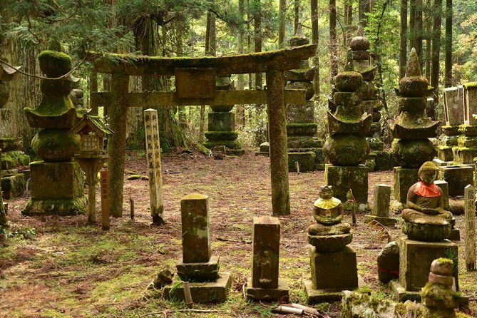 Mt. Koya Sacred Half-Day Private Tour With Government Licensed Guide - Confirmation and Booking Information