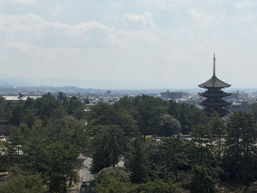 Nara: Half-Day Private Guided Tour - Kofukuji Temple