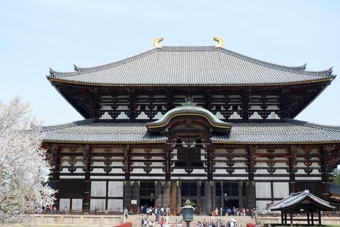 Nara Private Tour by Public Transportation From Kyoto - Deer Park