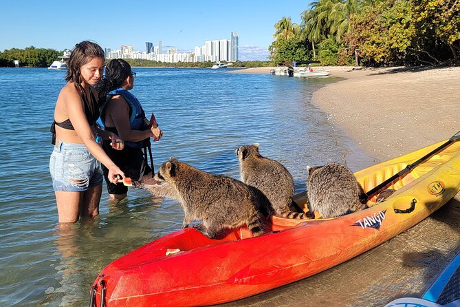 Nature & Island Exploration on SUP/Kayak - Tour Cancellation Policy