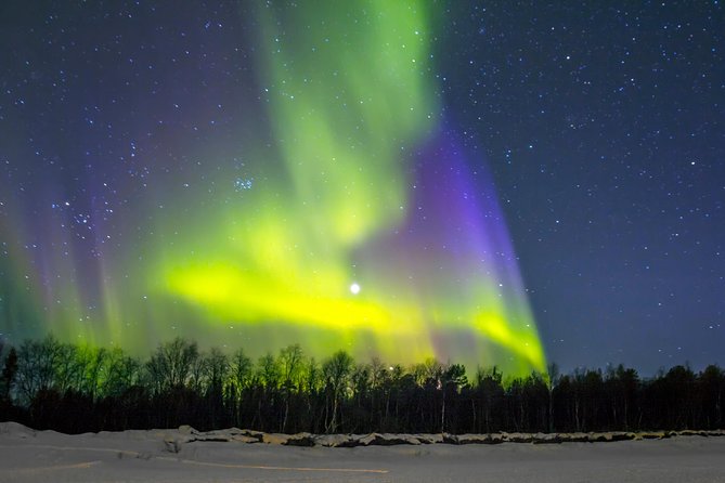 Northern Lights and Chena Hot Springs Tour From Fairbanks - Customer Reviews