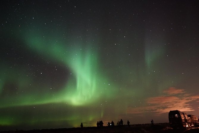 Northern Lights Small-Group Minibus Tour From Reykjavik - Traveler Reviews and Feedback