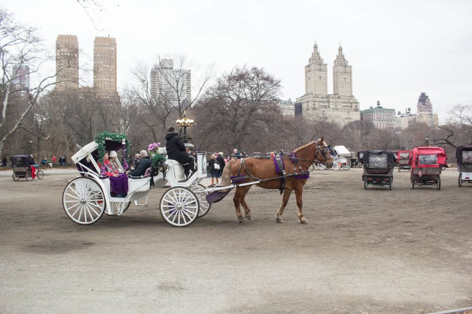 NYC Horse Carriage Ride in Central Park (65 Min) - Important Information