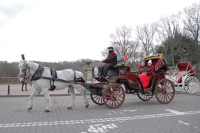 Official NYC Horse Carriage Rides in Central Park Since 1979 ™ - Reviews and Recommendations