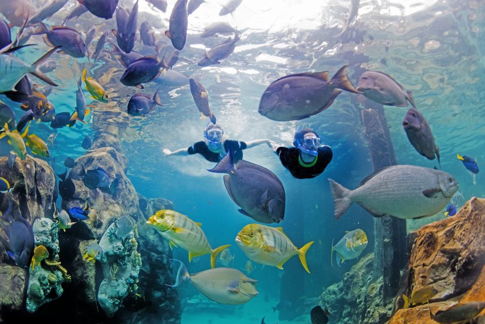 Orlando: Discovery Cove Admission Ticket & Additional Parks - Booking and Cancellation