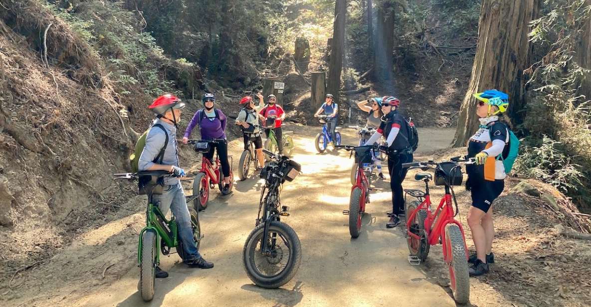 Pacific Grove: Old Coast Road E-Bike Tour - Cancellation Policy