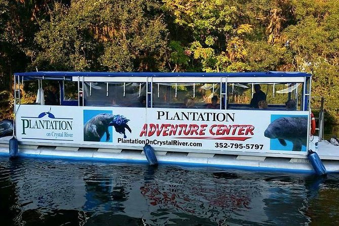 Plantations Kings Bay Scenic Cruise - Safety and Accessibility Information