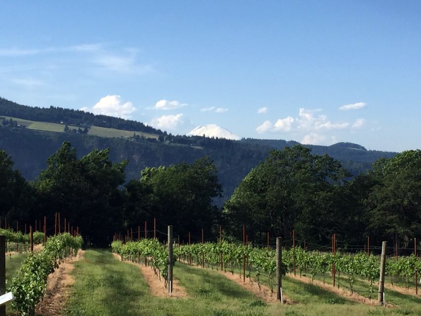 Portland: Mount Hood Wine and Waterfalls Full-Day Tour - Customer Reviews