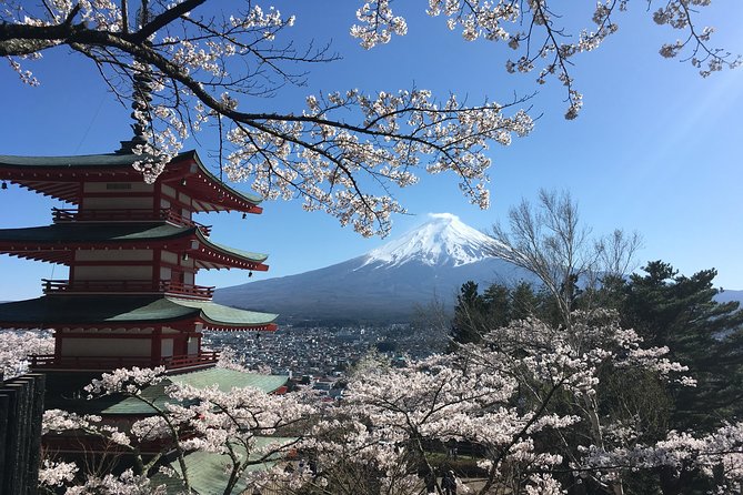 Private Car Mt Fuji and Gotemba Outlet in One Day From Tokyo - Cancellation and Refund Policy