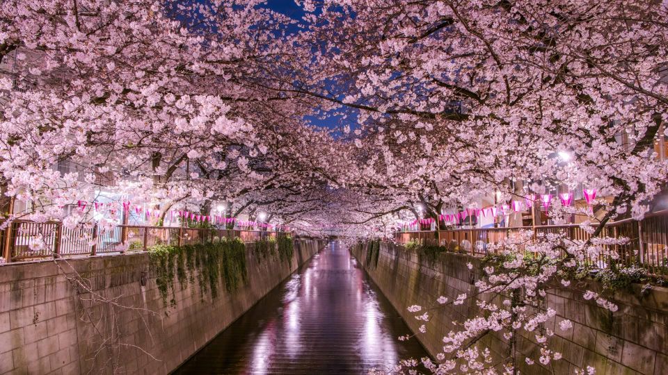 Private Day Trip to Mt. Fuji & Hakone Cherry Blossoms - Oishi Park and Lake Ashi