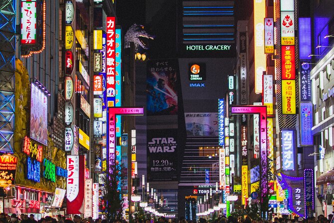 Private Shinjuku Nightlife Walking Tour & Golden-Gai Bar Crawl - Exploring Shinjukus Nightlife