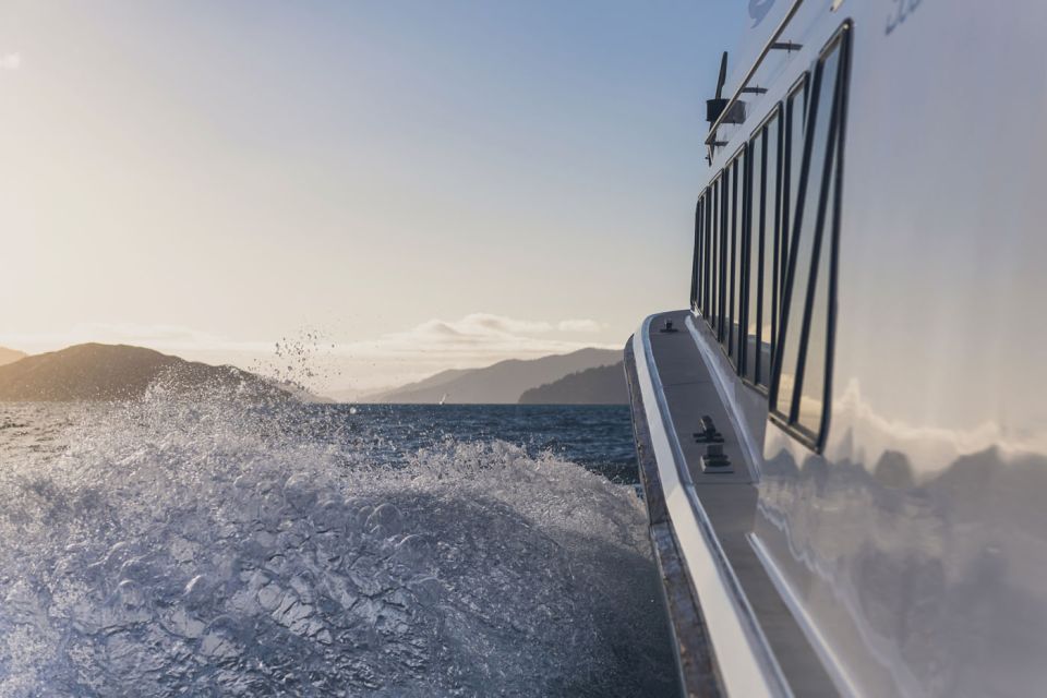 Queen Charlotte Sound Cruise With Lunch - Booking Information